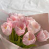 collin02114567